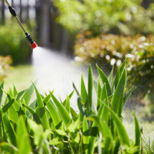Supreme Court hears Roundup case that could limit Americans’ ability to sue pesticide companies