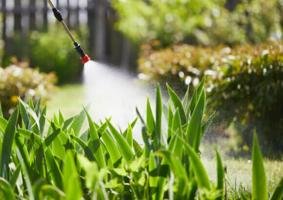 Supreme Court hears Roundup case that could limit Americans’ ability to sue pesticide companies