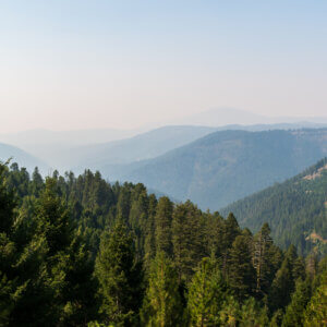 America’s Wildfire Economics Are Backwards