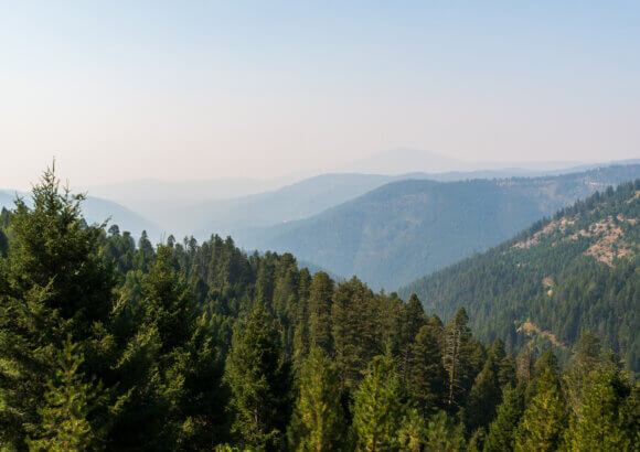America’s Wildfire Economics Are Backward