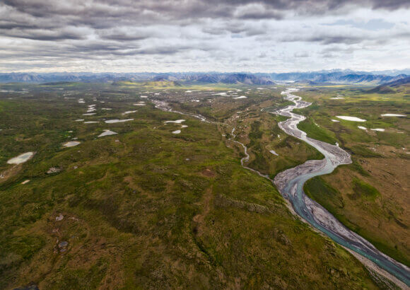 Trump auctions off rights to drill in Alaska wildlife refuge, but gets few bidders