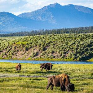 The Future of the Great American Outdoors