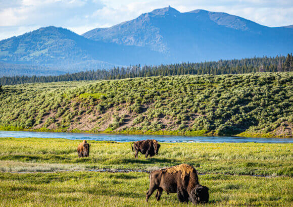 The Future of the Great American Outdoors