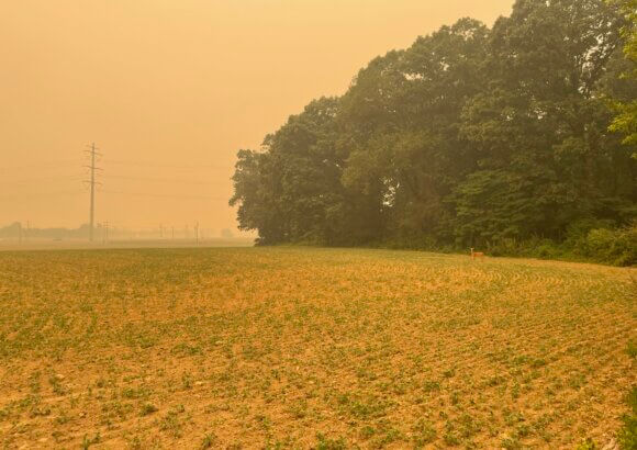 Trump threatens Canada over wildfire smoke: ‘Maybe they should pay us some damages’