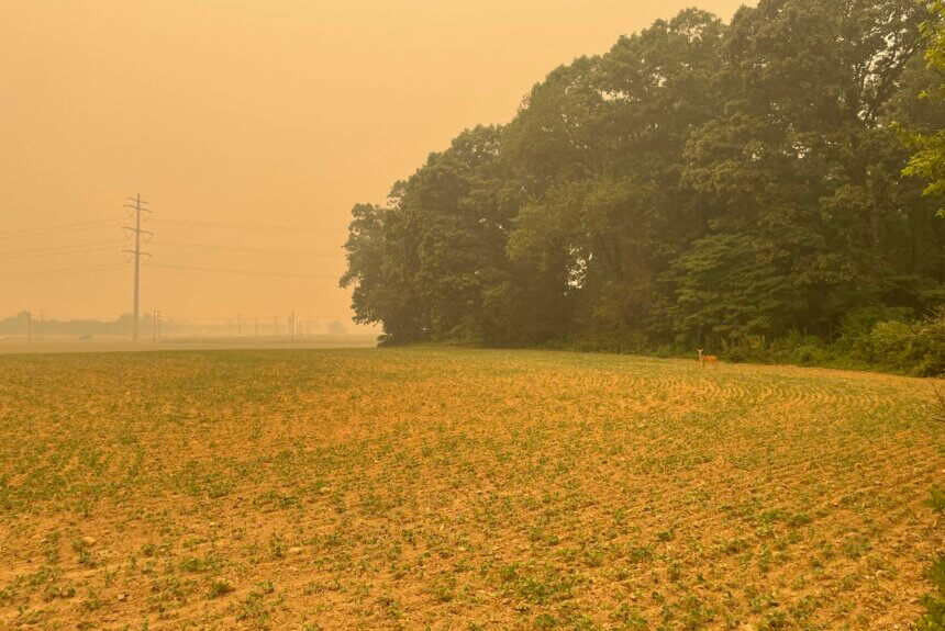 Trump threatens Canada over wildfire smoke: ‘Maybe they should pay us some damages’ Trump threatens Canada over wildfire smoke: ‘Maybe they should pay us some damages’