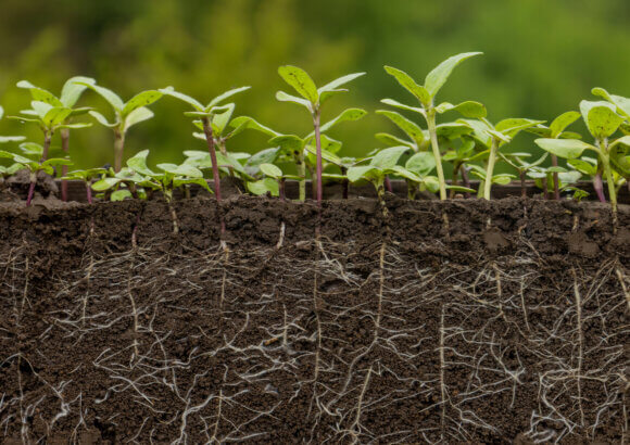 How EarthOptics Is Digging Deeper Into Soil Health