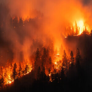 Investing in Wildfire Prevention Will Be Key to Preventing Europe’s Next Summer from Hell