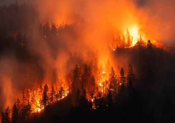Investing in Wildfire Prevention Will Be Key to Preventing Europe’s Next Summer from Hell