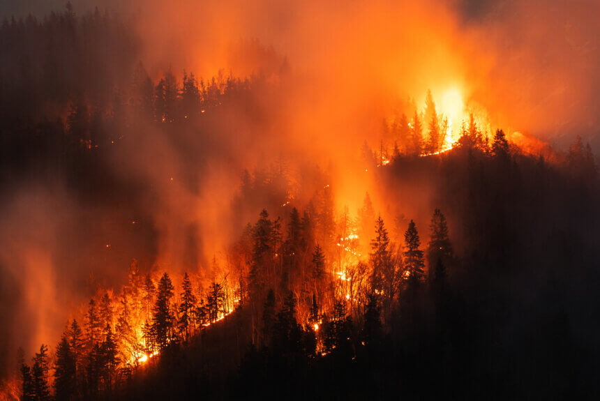 Investing in Wildfire Prevention Will Be Key to Preventing Europe’s Next Summer from Hell