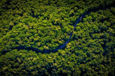 brazil-carbon-markets-deforestation