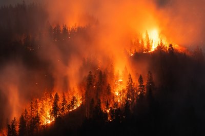 Forest wildfire at night a natural disaster